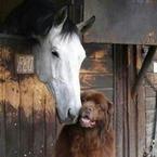 Алёна Кудрявцева