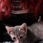 Юлия Мичурина