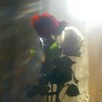 Наталья Сиушкина