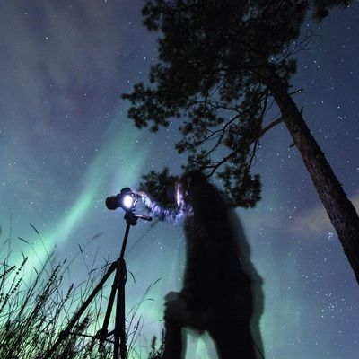 Вадим Скрябин