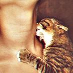 Алана Касастикова