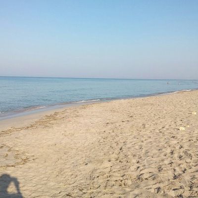 Татьяна Шеина