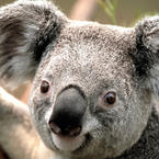 Регина Муратшина