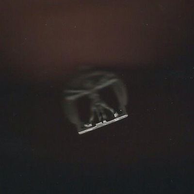 Александра Кузнецова