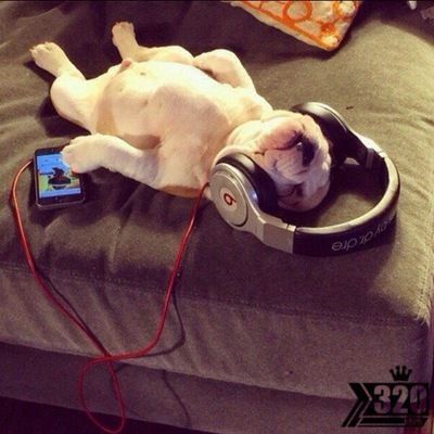 Тельман Гаджиян