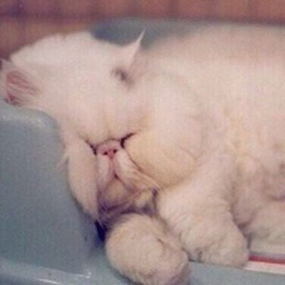 Ира Клыкина