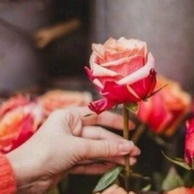 Альбина Абдуллаева