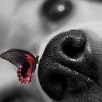 Юлия Кононова