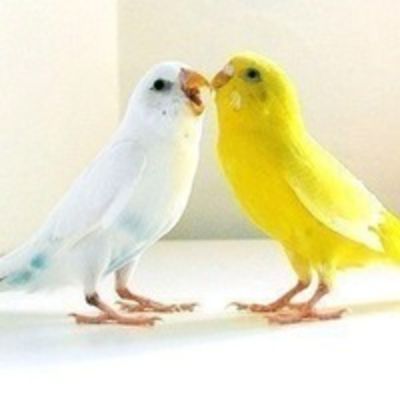 Екатерина Лазаренко