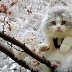 Лариса Шепилова