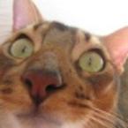 Инна Скибина