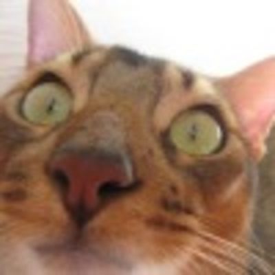 Инна Скибина