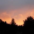 Анастасия Проць