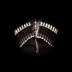 sᴀᴜʀᴏᴍᴀᴛɪᴄᴜs