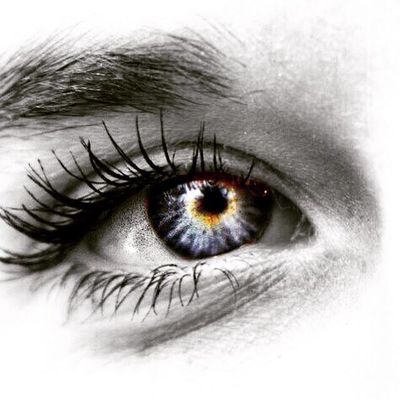 Василий Парламент