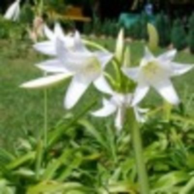 Светлана Шлыкова