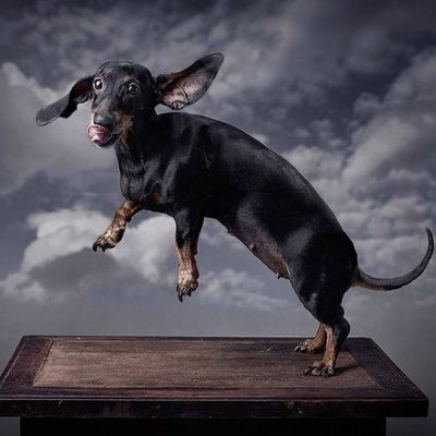 Алла Волобуева