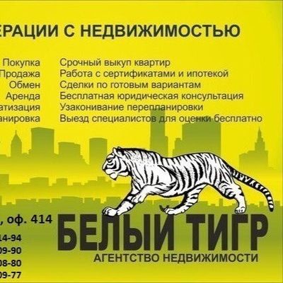 Анастасия Абрамова