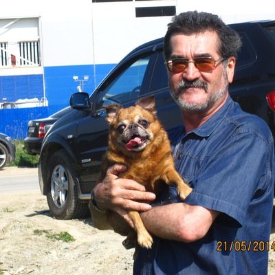 Валентин Стук