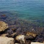 Анна Страхова