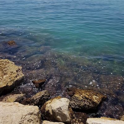 Анна Страхова