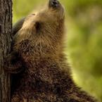 Юрий Власов