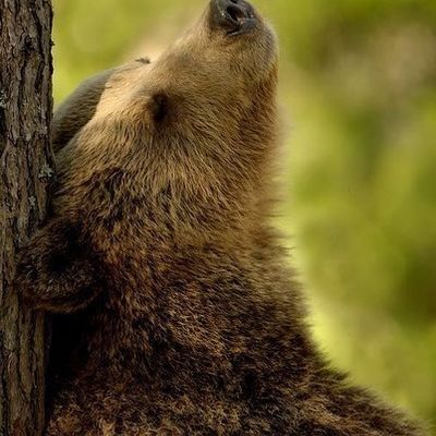 Юрий Власов