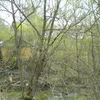 Дмитрий Титов