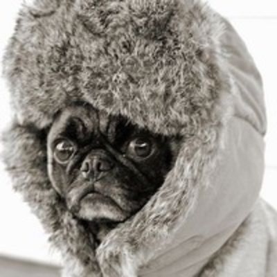 Надя Никитина