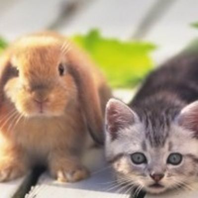 Ольга Савельева