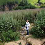 Аня Шабалина