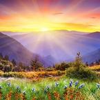 Олег Плескач