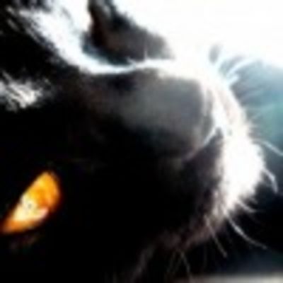 Виктория Матолыга