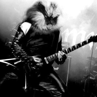 Родион Гарифуллин