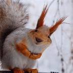 Гульнара Кудимова