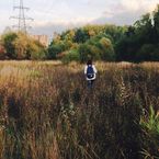 Полина Никулина