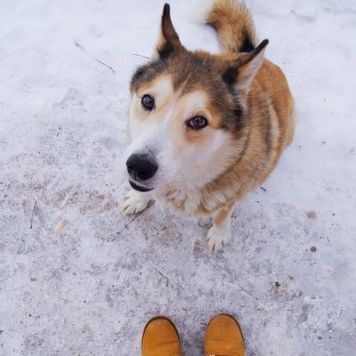 Маша Семенова