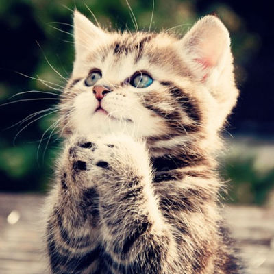 Юлия Пермякова