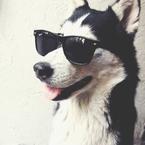 Кирилл Колышкин