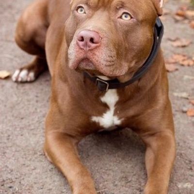 Алексей Виньпус