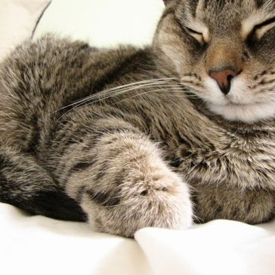 Наталья Попова