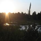 Роман Дмитриев