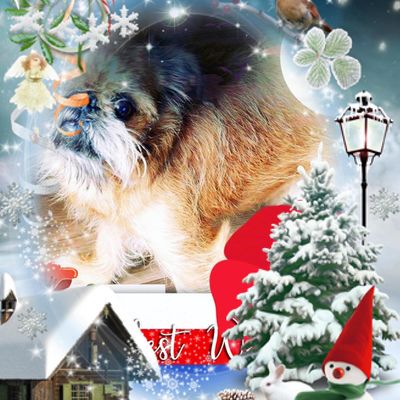 Игорь Расин