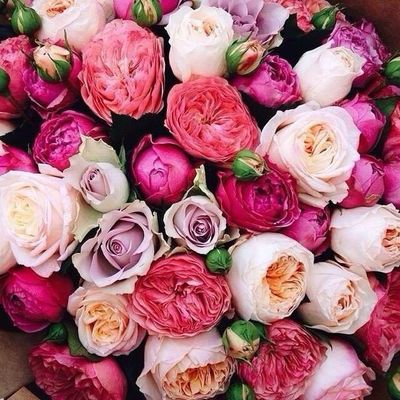 Дина Мукушева