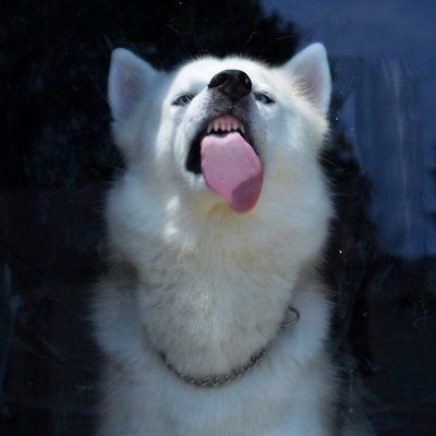 Аллочка Васильева