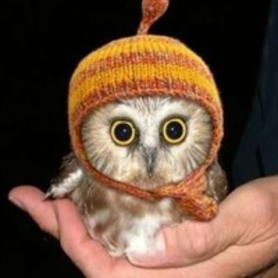 Владимир Бах