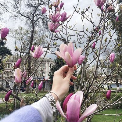 Нурсауле Муратхан