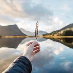 Денис Семенков