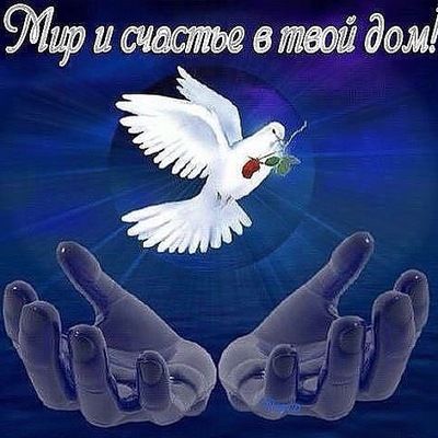 Татьяна Камбицы