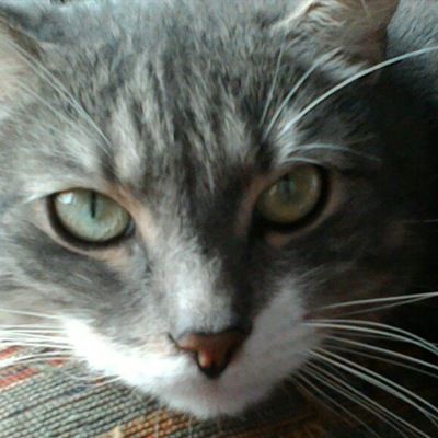 Валерия Воинова